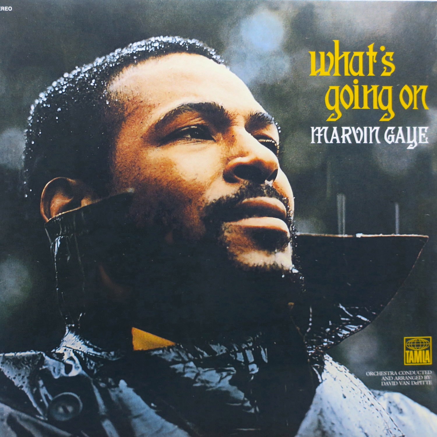 MARVIN GAYE 'What's Going On' 180g Vinyl LP Record - Classic Soul Music for Audiophiles & Collectors - Perfect for Home Listening & Gift Giving