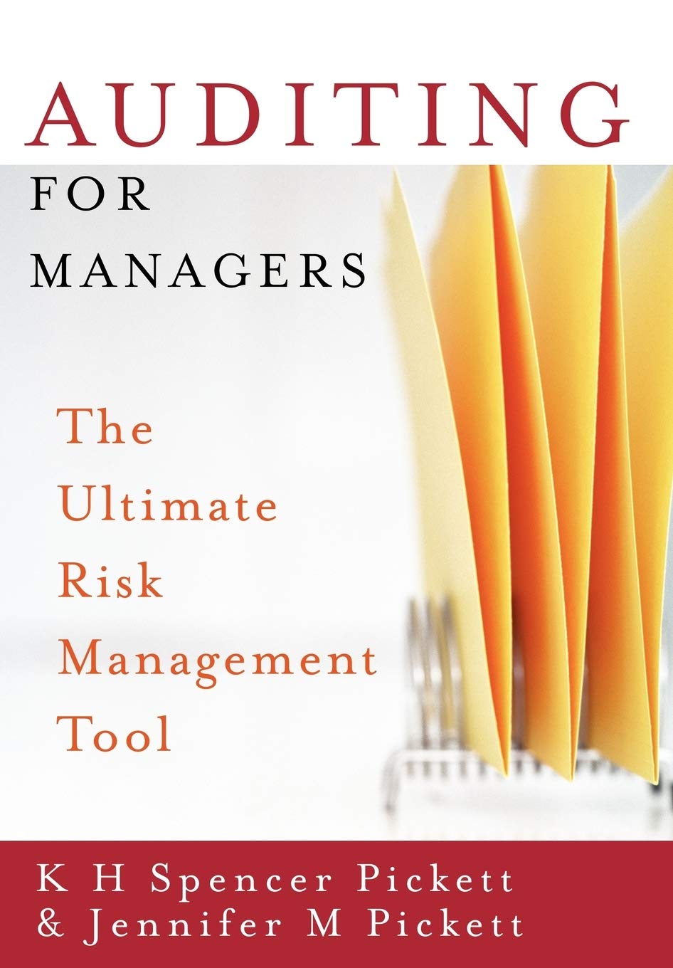 Auditing for Managers: The Ultimate Risk Management Guide for Business Leaders | Improve Compliance & Decision Making