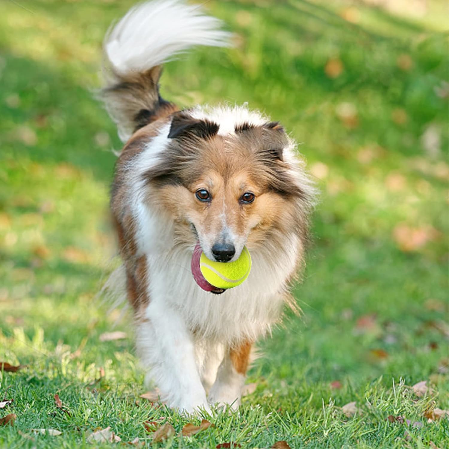 12 Pack Mini Tennis Balls for Small Dogs - 2 Inch Pet Training Balls for Fetch & Interactive Play - Fits Automatic Ball Launchers - Perfect for Indoor/Outdoor Playtime, Dog Training & Exercise