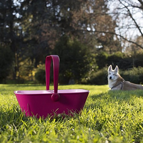 Alessi AMMI27 GR Pet Travel Organizer for Dogs & Cats - Green Waterproof Pet Carrier Bag with Storage Pockets | Perfect for Travel, Vet Visits & Outdoor Adventures