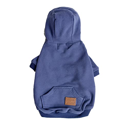 Blue Hoodie