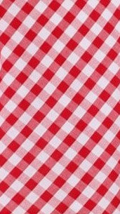 Abia Mini Dress - White & Red Checkered Plaid Summer Casual Dress for Women | Perfect for Beach, Party, and Everyday Wear