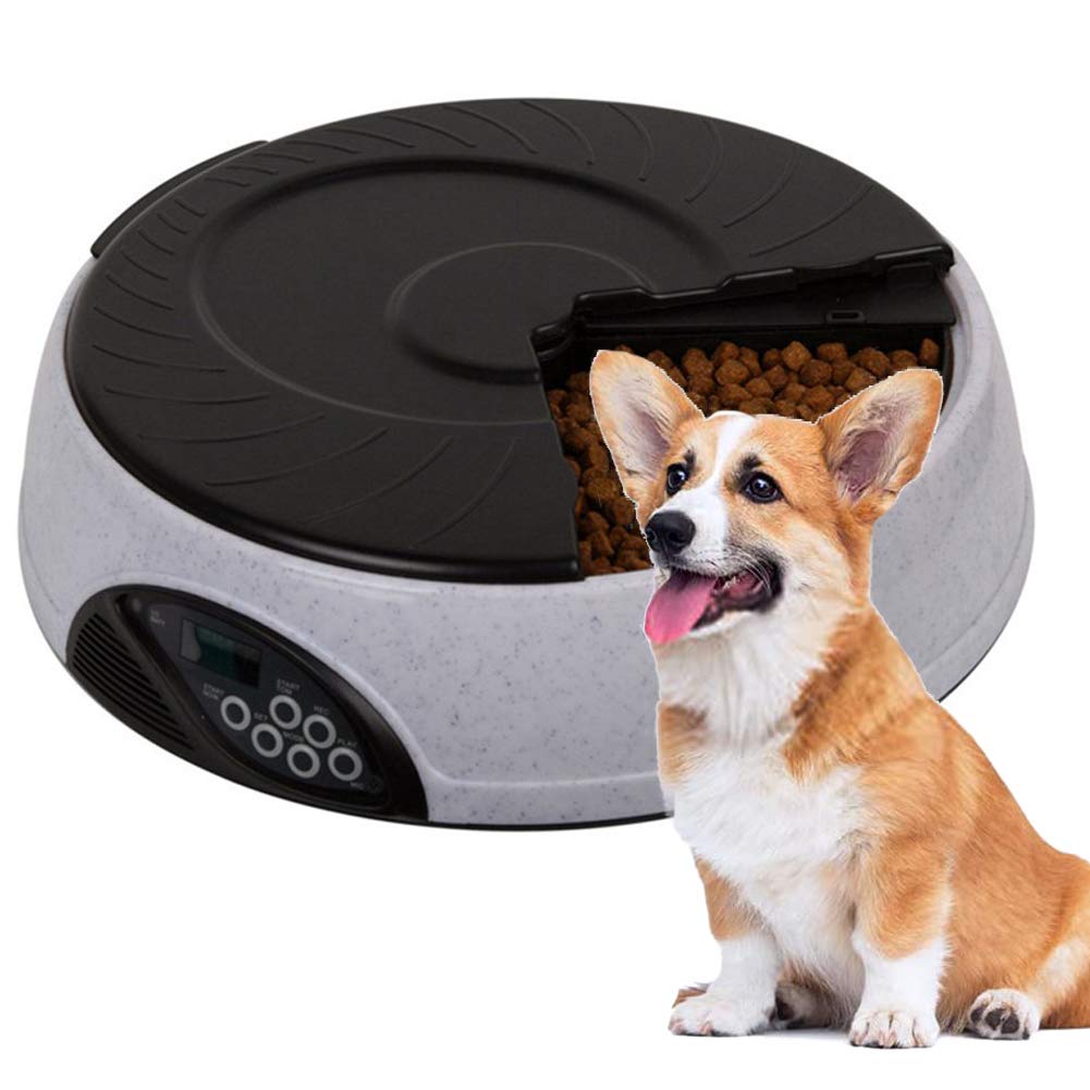 Automatic Pet Feeder - 6 Meal Programmable Dog & Cat Food Dispenser for Wet & Dry Food - BPA Free, Dishwasher Safe - Perfect for Travel, Workdays & Busy Pet Owners