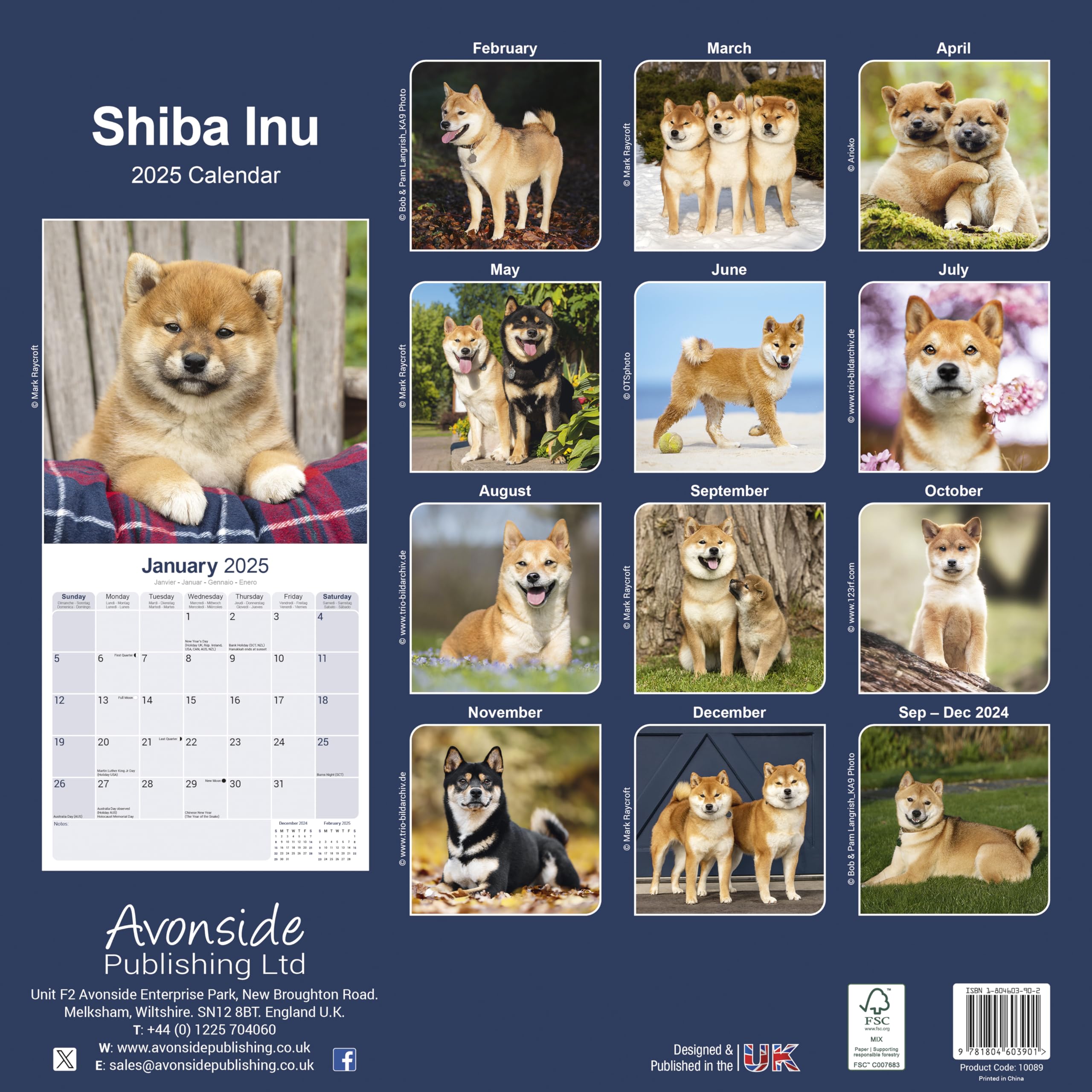 2025 Shiba Inu Dog Breed Wall Calendar - 16 Month Square Planner with Cute Puppy Photos | Perfect for Pet Lovers, Home & Office Decor, Gift Idea for Dog Owners