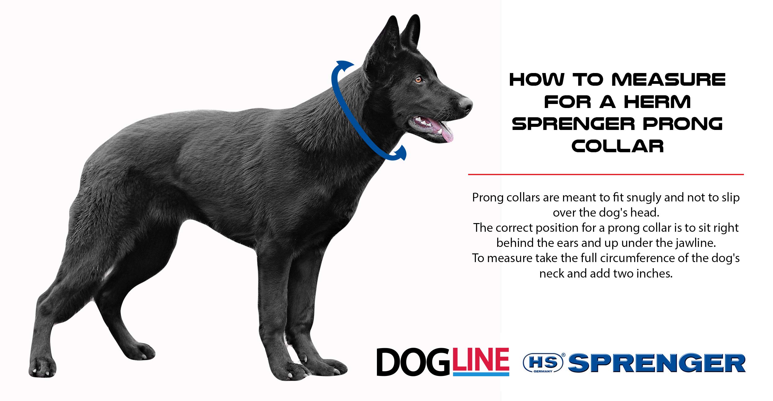 Herm Sprenger Ultra-Plus Curogan Prong Dog Training Collar - Hypoallergenic Nickel-Free No-Pull Pinch Collar for Small Dogs (2.25mm x 16in) - Made in Germany - Perfect for Obedience Training & Behavior Correction
