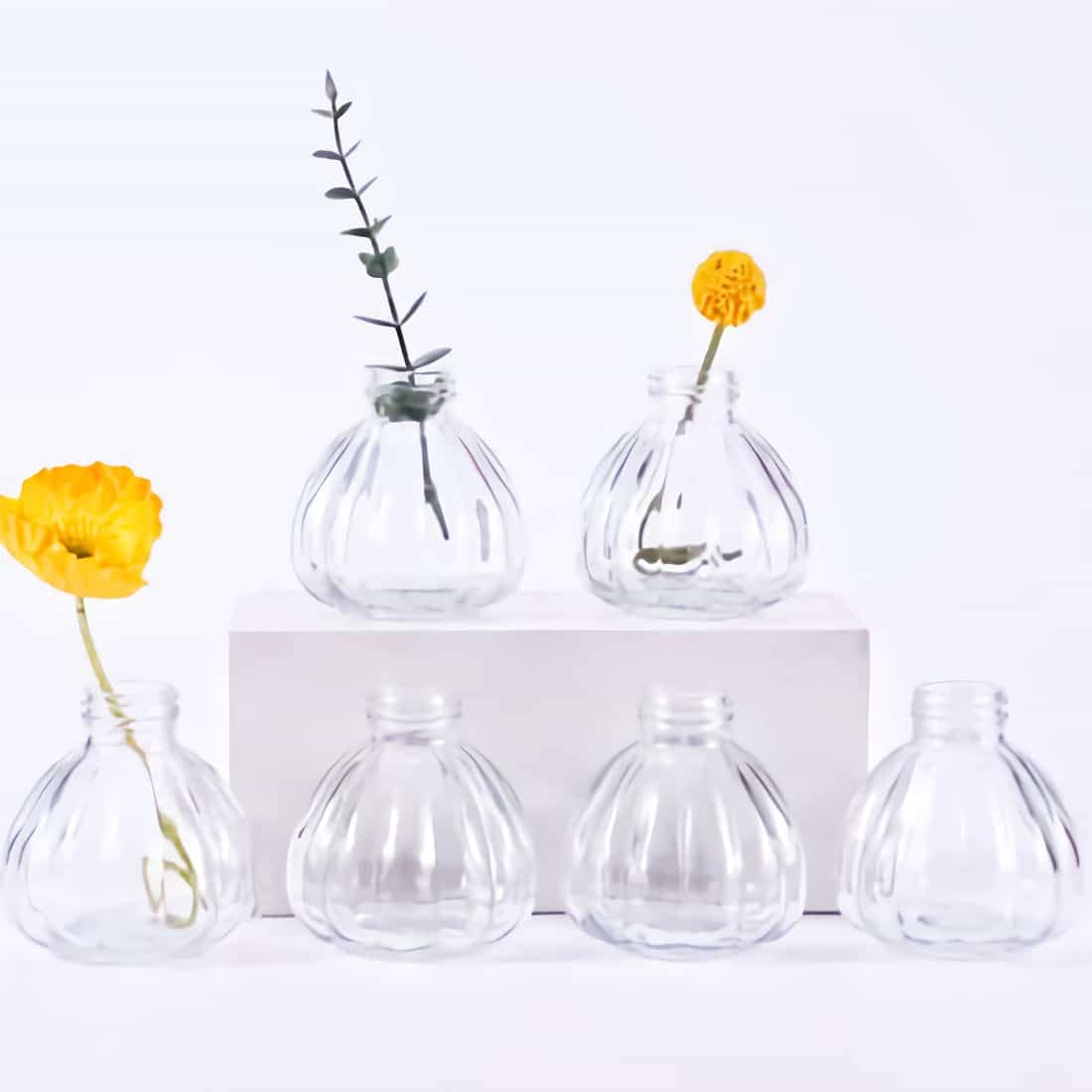 6-Piece Glass Bud Vase Set - Small Clear Flower Vases for Floral Arrangements, Rustic Home Decor Centerpieces - Perfect for Living Room, Office, Wedding & Event Decorations | Elegant Tabletop Display for Dining, Parties & Gift Giving