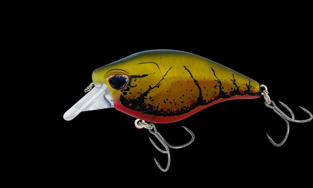 Nomad Atlas 55 Square Bill Crank Floating Fishing Lure - Topwater Bass Fishing Bait for Freshwater & Saltwater - Perfect for Casting, Trolling & Shore Fishing