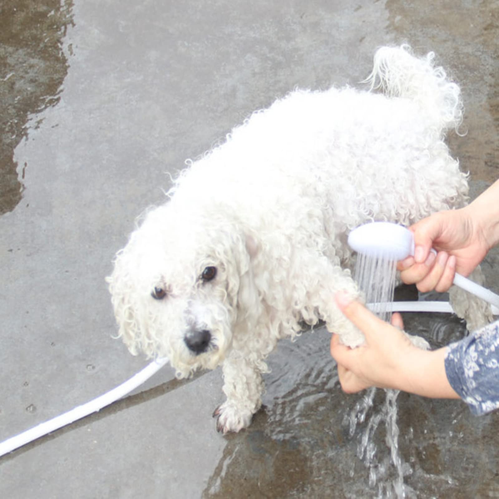 Handheld Shower Spray Hose - Pet & Baby Bathing, Hair Washing