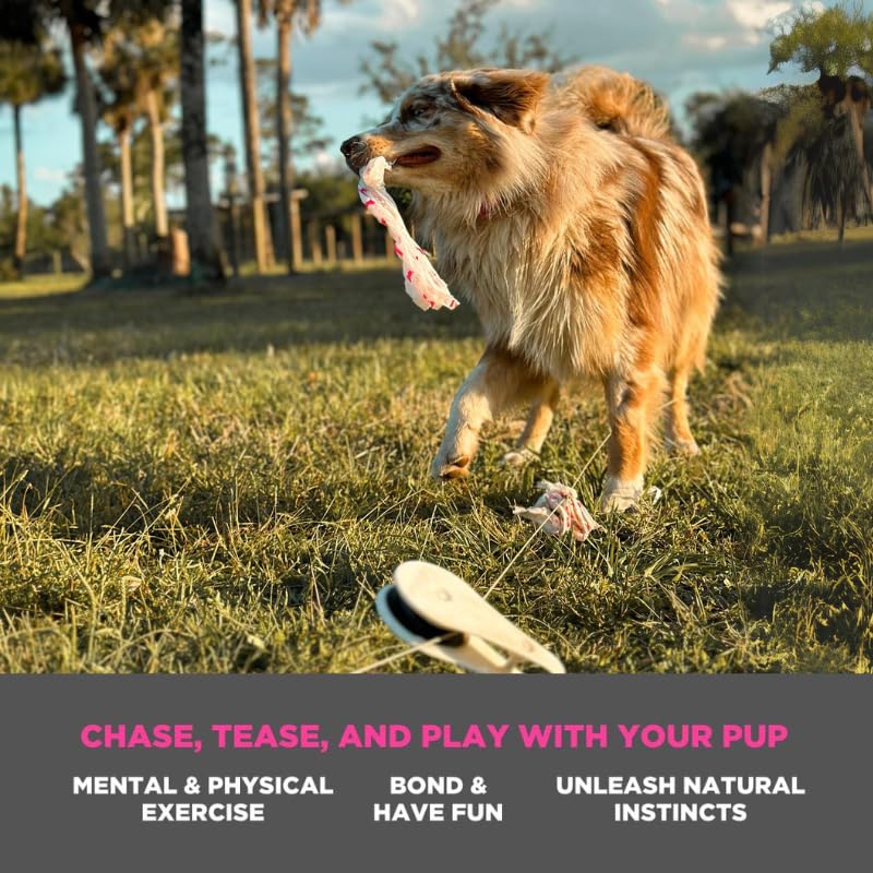 Swift Paws App-Controlled Dog Toy - Interactive Chase & Flag Lure Course for Dogs - Smart Pet Enrichment Game for Backyard, Training & Exercise