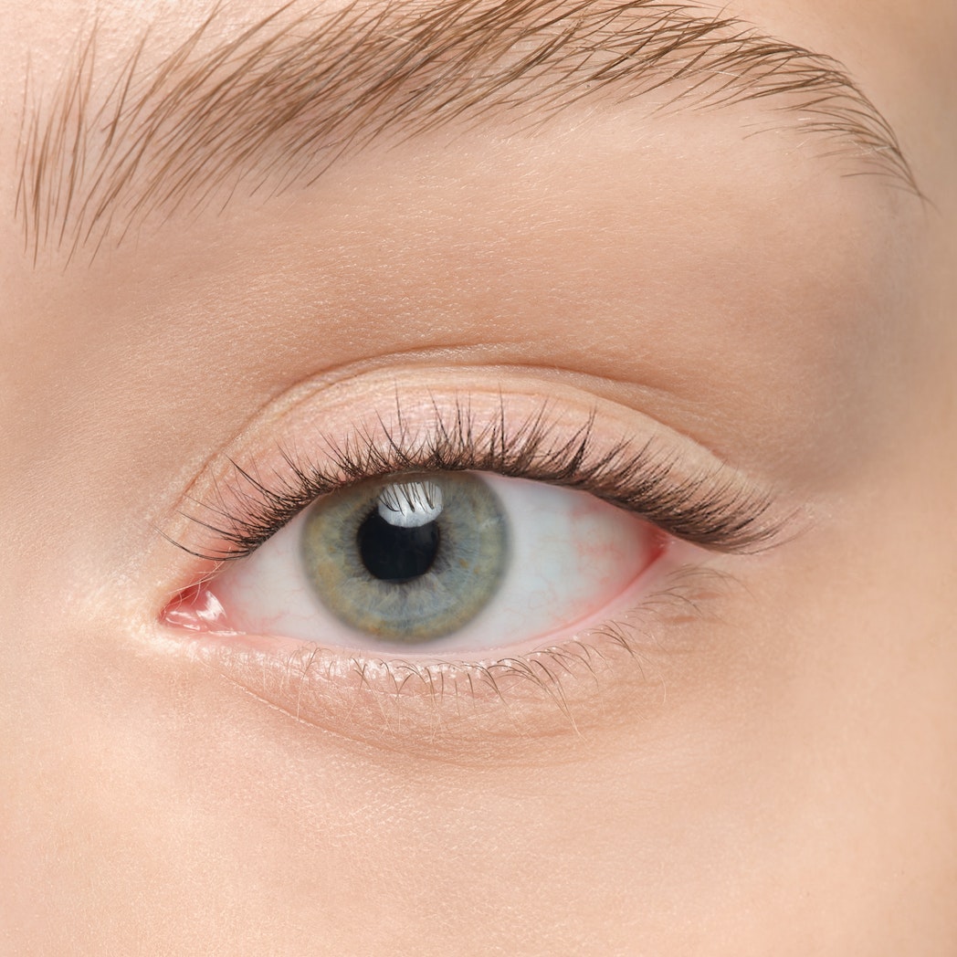Plushy Gossamer® False Eyelashes - Natural Wispy Lashes for Dramatic Eye Makeup | Perfect for Parties, Weddings & Special Occasions
