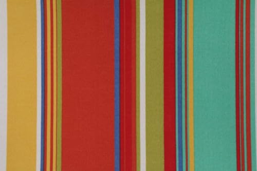 Bright Colorful Stripe