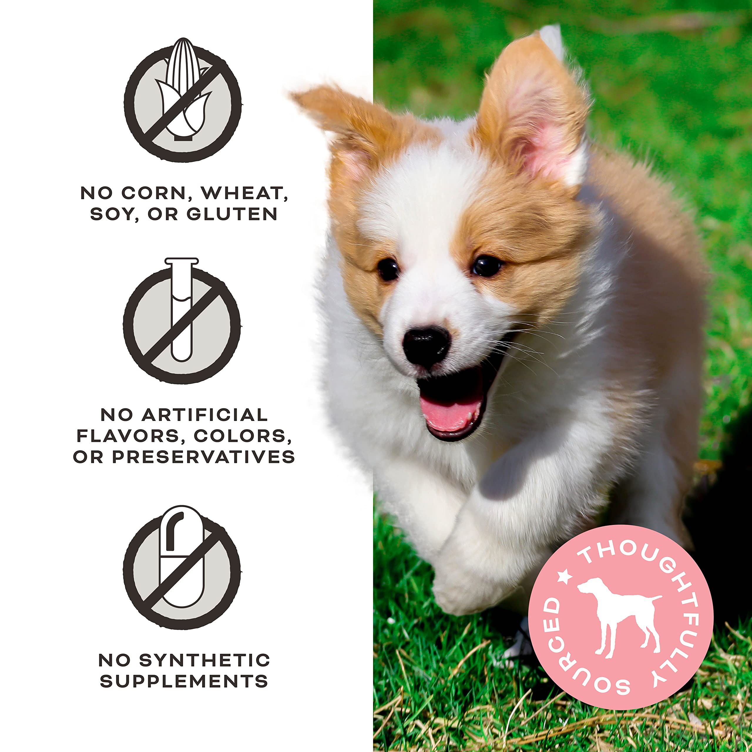 **Primal Freeze Dried Dog Treats - Chicken & Banana with Goat Milk | Grain-Free, Probiotic Training Treats for Small & Large Dogs | 2 oz | Healthy Dog Snacks for Obedience Training, Hiking, Travel & Daily Rewards | Perfect for Active Dogs & Pet Lovers**