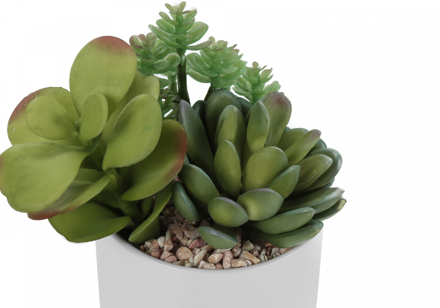 7 Succulent Plants with 3 White Pots - Green Indoor Garden Set of 2 | Perfect for Home Decor, Office Desk & Gift Giving