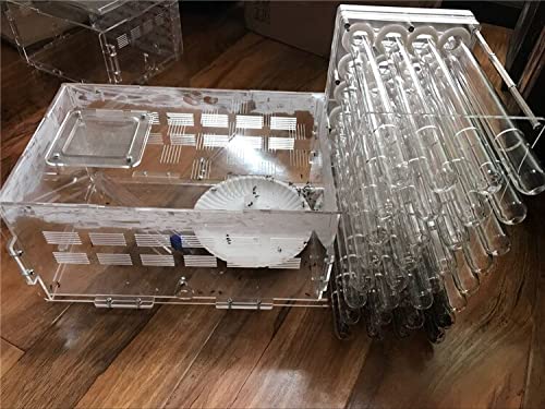 Uongfi 32-Piece Ant Farm Kit with 18mm & 20mm Transparent Tubes - Ant Nest Terrarium for Pet Ants, Educational Science Toy, DHL Fast Shipping (Color D, 18mm Tubes) - Perfect for Home, Classroom & STEM Learning Activities