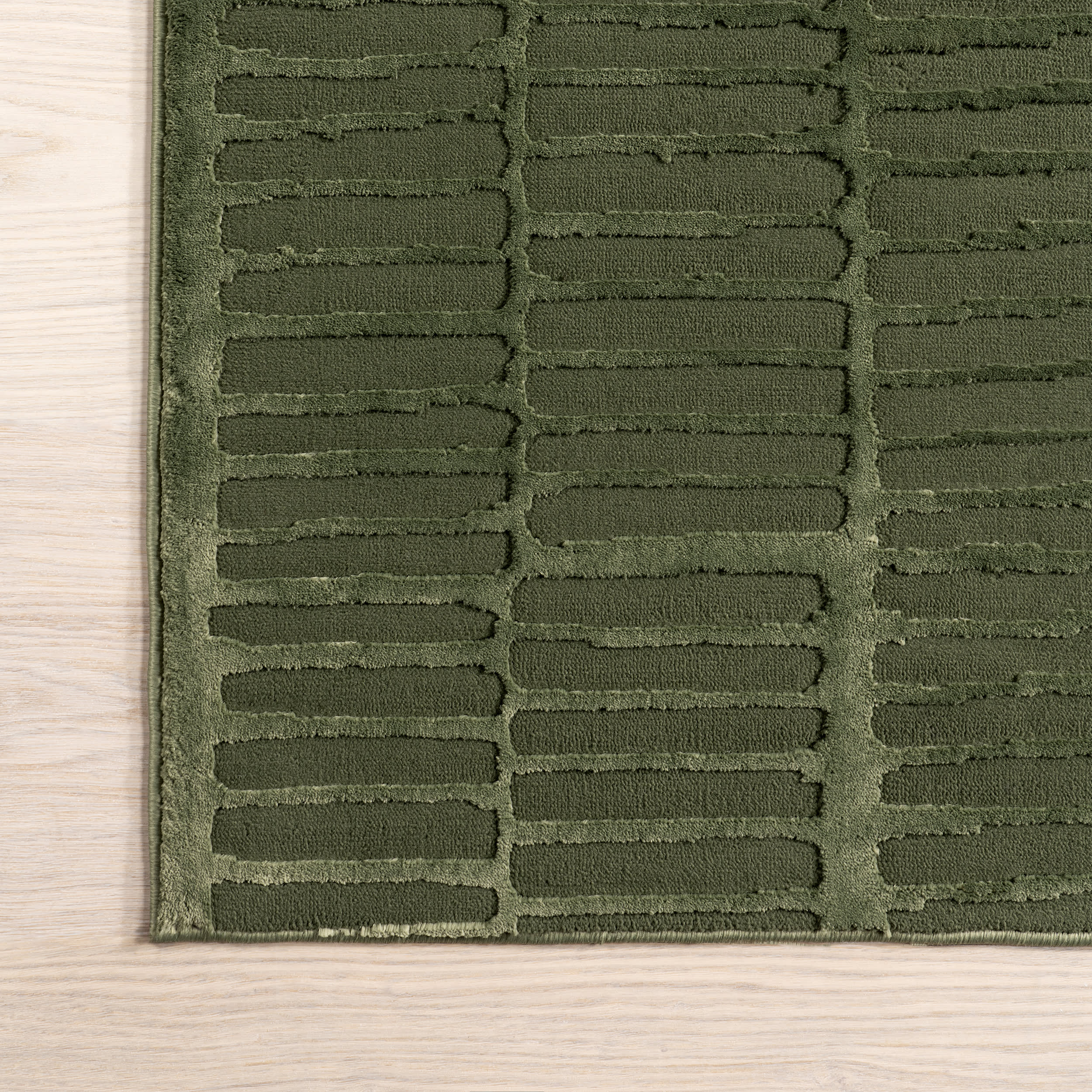 Cranbury Plush Textured Washable Rug - Soft Green Area Rug for Living Room, Bedroom & Nursery | Machine Washable & Stain Resistant