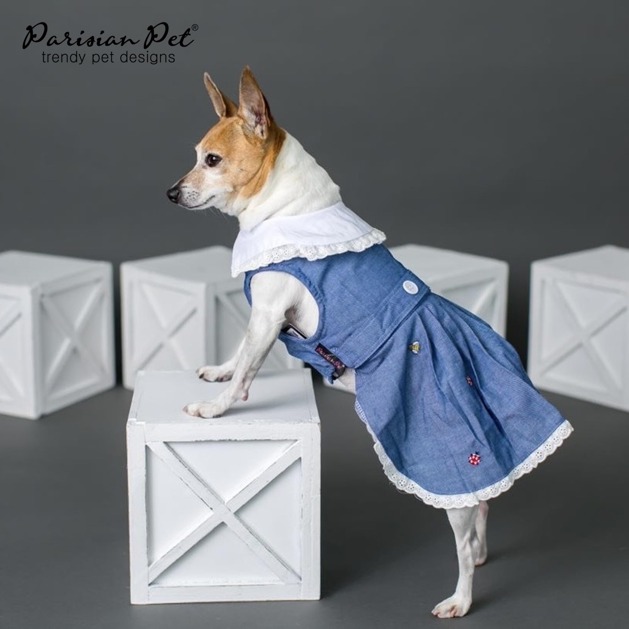 Parisian Pet Dog Dress - Chambray Dog Overalls - Lightweight & Fashionable Summer Dog Skirt - Sleeveless Dog Clothes for Large Dogs (2XL) - Perfect for Outdoor Adventures, Beach Trips & Photo Shoots