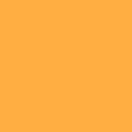Sunshine//Wanderlust Solids