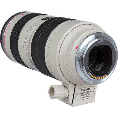 Canon EF 70-200mm f/2.8L USM Telephoto Zoom Lens for DSLR Cameras - Professional Photography, Sports & Wildlife Shooting