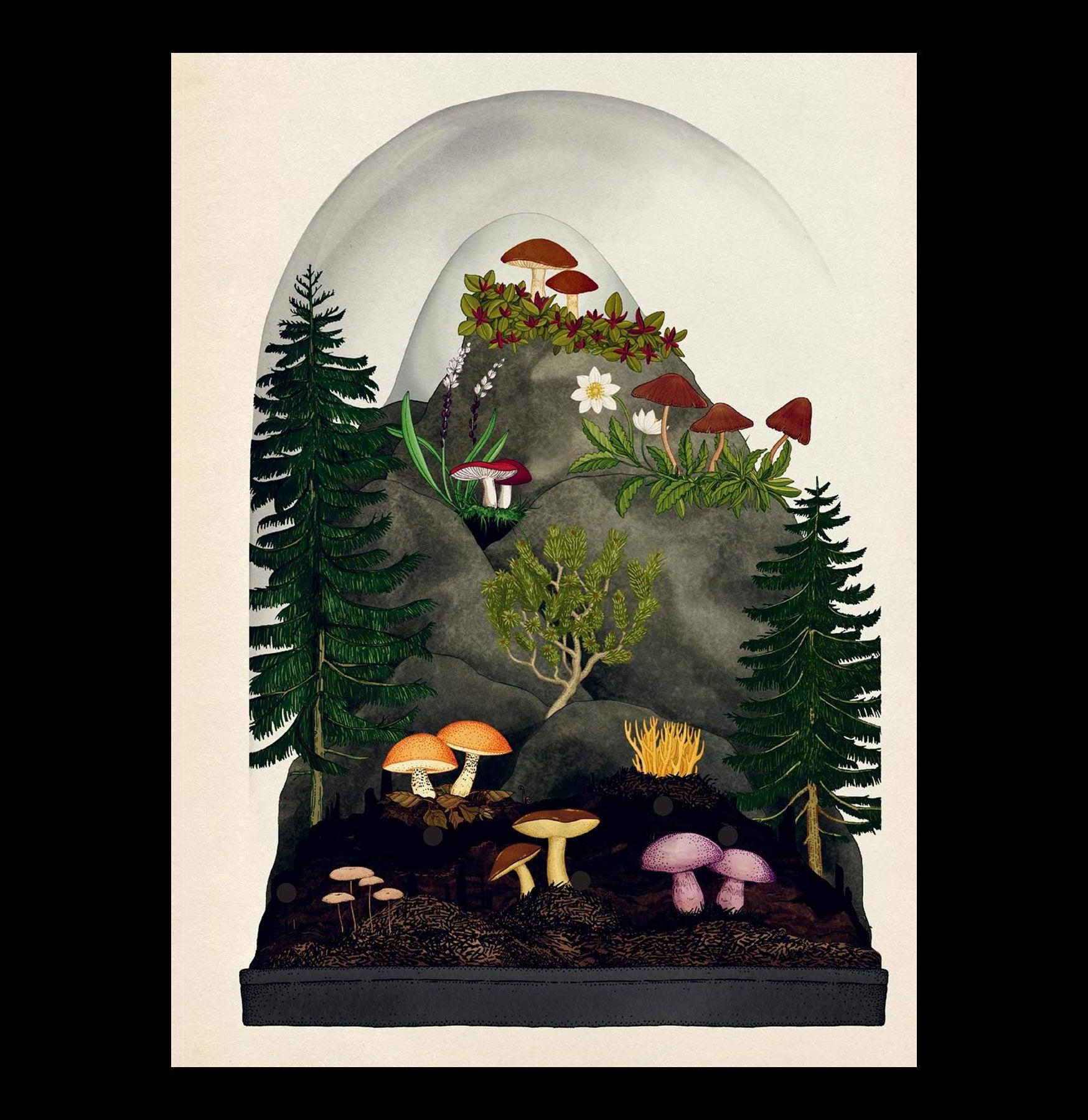 Fungarium Poster Book - Mushroom Identification Guide & Nature Decor for Home, Classroom, or Office | Perfect for Mycologists, Nature Lovers & Educational Use