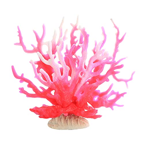 Ct107 Pink White