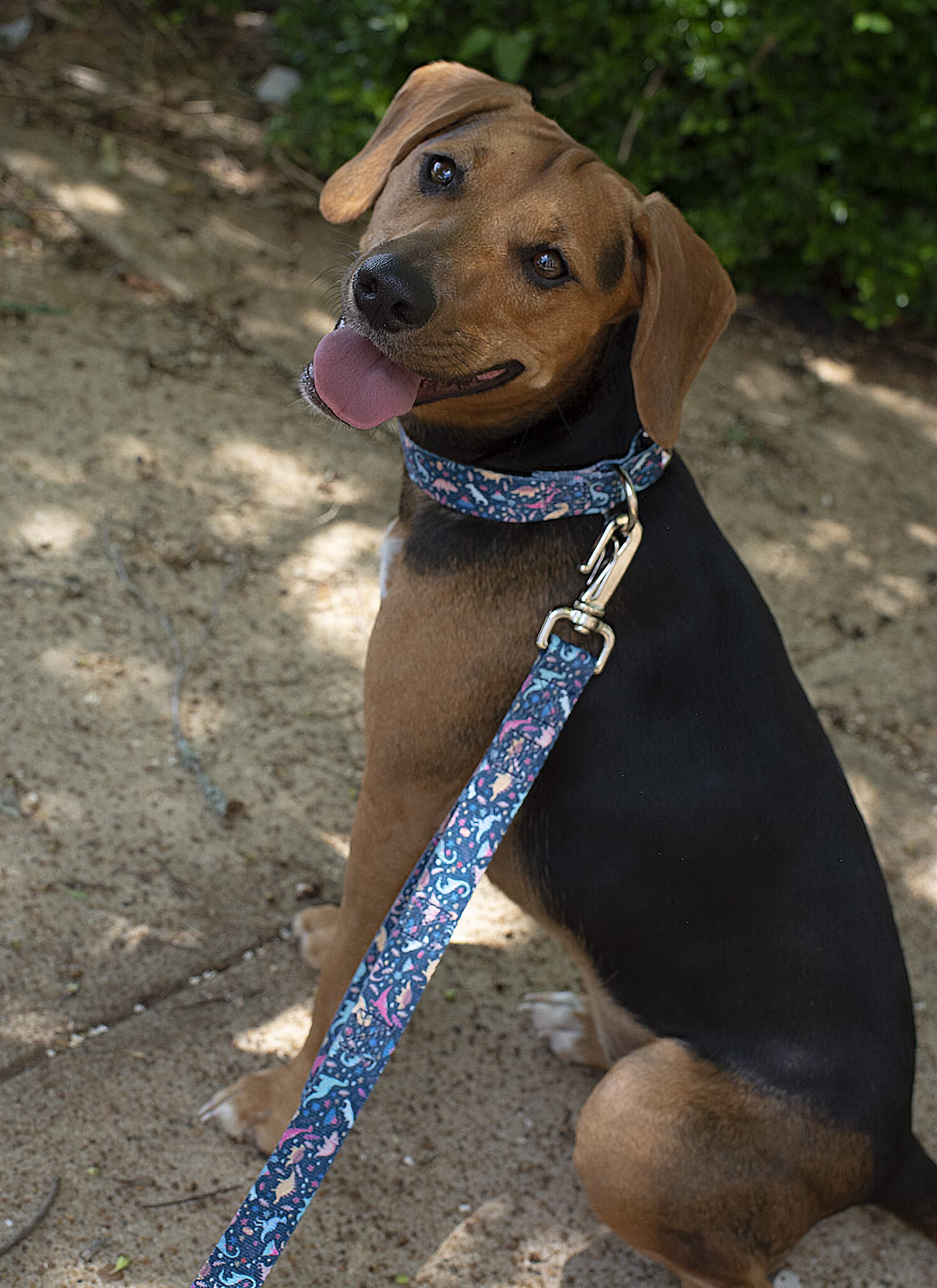 Dinosaurs Martingale Dog Collar and Leash Set - Adjustable Pet Collar with Dinosaur Print for Small Dogs (1/2 Inch, 2XS) - Perfect for Walks, Training, and Costume Parties