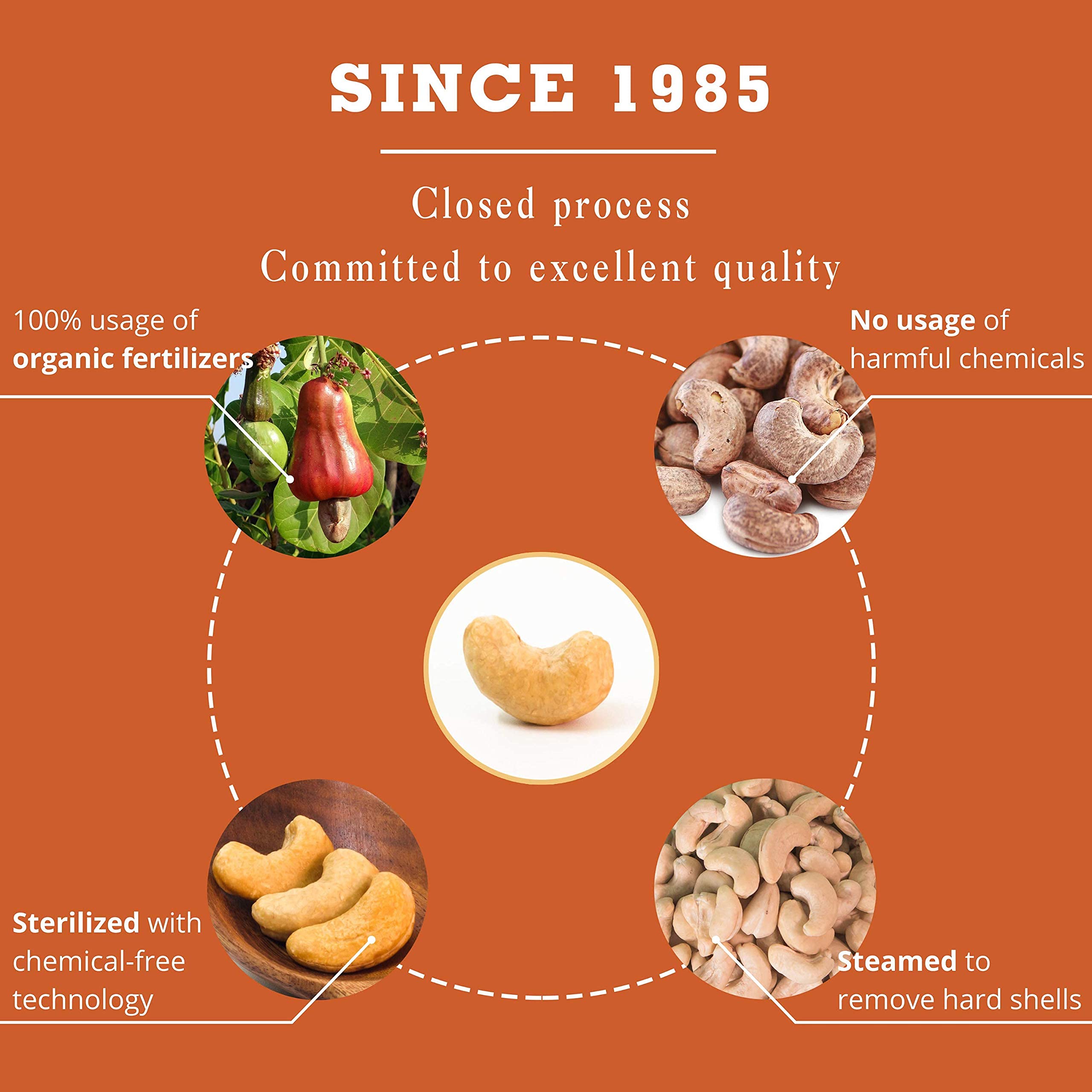 Organic Unsalted Roasted Cashews - Vegan Snacks for Gifts & Holidays (30 oz)