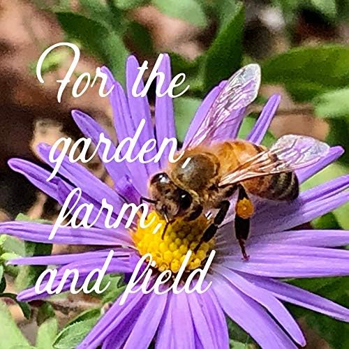 All Annual Wildflower Mix Seeds for Planting - 1 Lb ~16,000+ Seeds - 21 Varieties Including California Poppy, Indian Blanket & Scarlet Flax - Attracts Bees & Butterflies - Bulk Wildflower Seeds for Gardens, Meadows & Pollinator Habitats