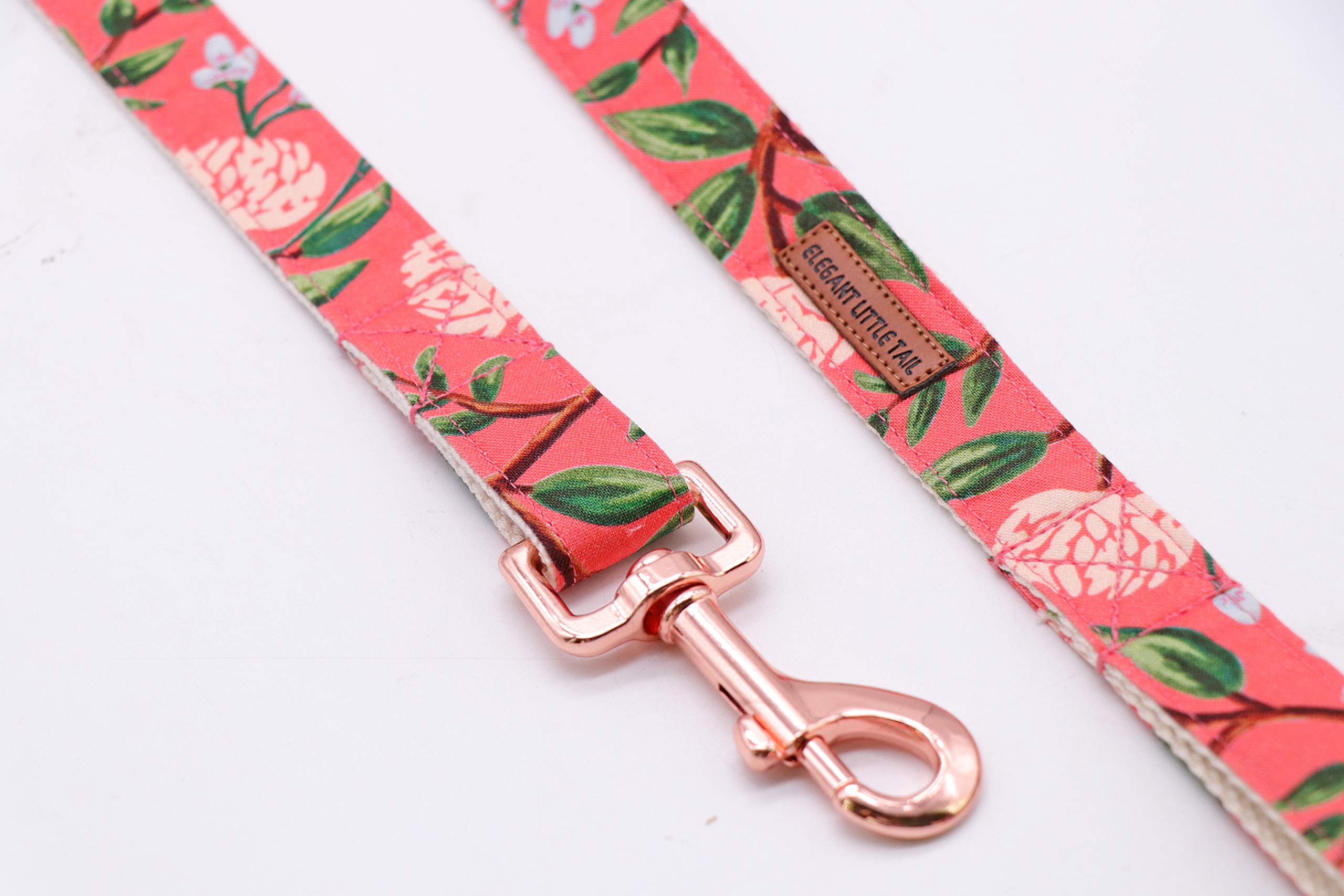 Elegant Small Dog Leash - Strong Durable Traditional Style Pet Leash with Soft Webbing for Small Medium Large Dogs | Perfect for Walking Training & Outdoor Adventures
