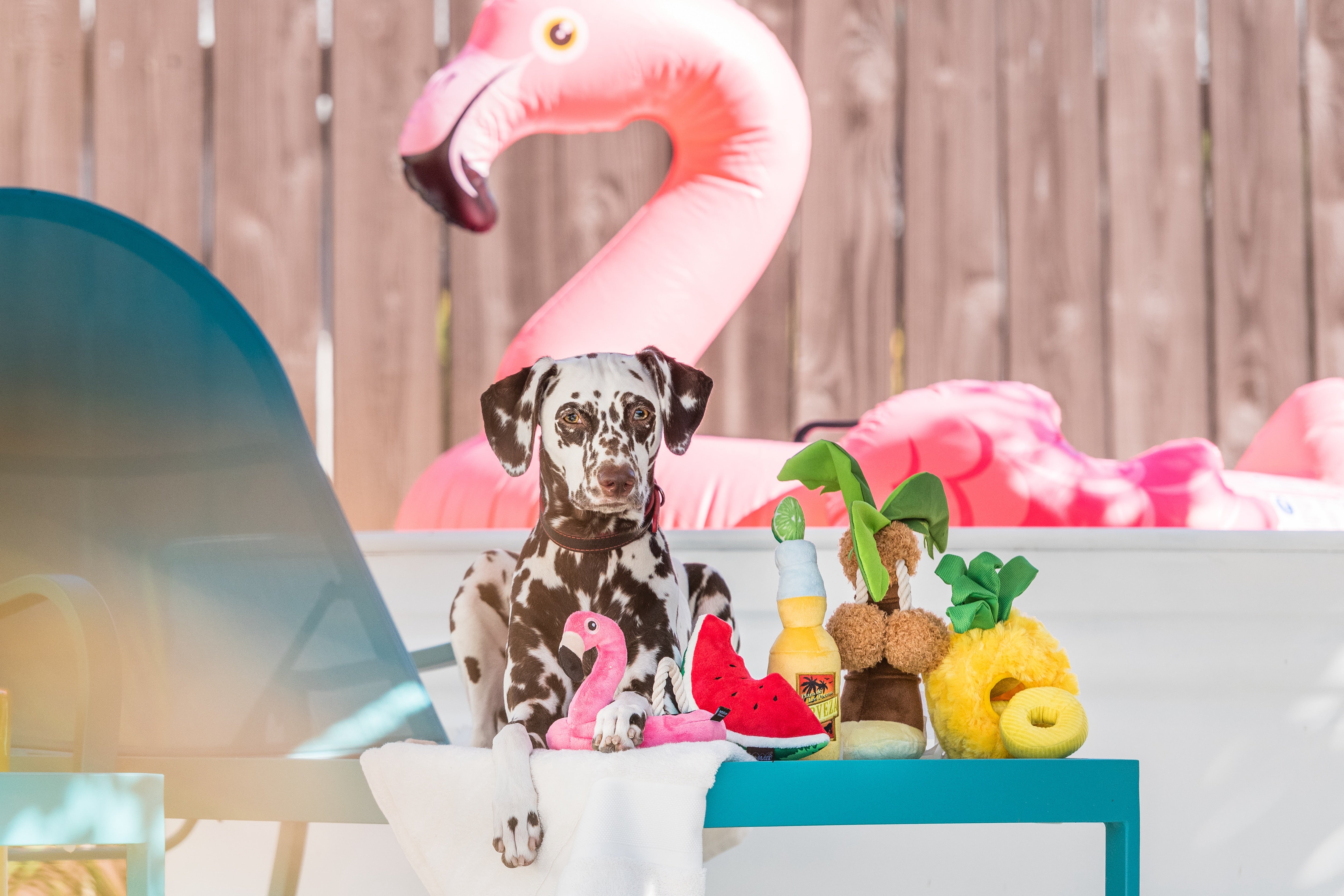 Tropical Paradise™ Dog Plush Toy - La Piña Chew Toy for Dogs | Soft & Durable Pet P.L.A.Y. Puppy Toy | Perfect for Playtime, Training & Cuddling