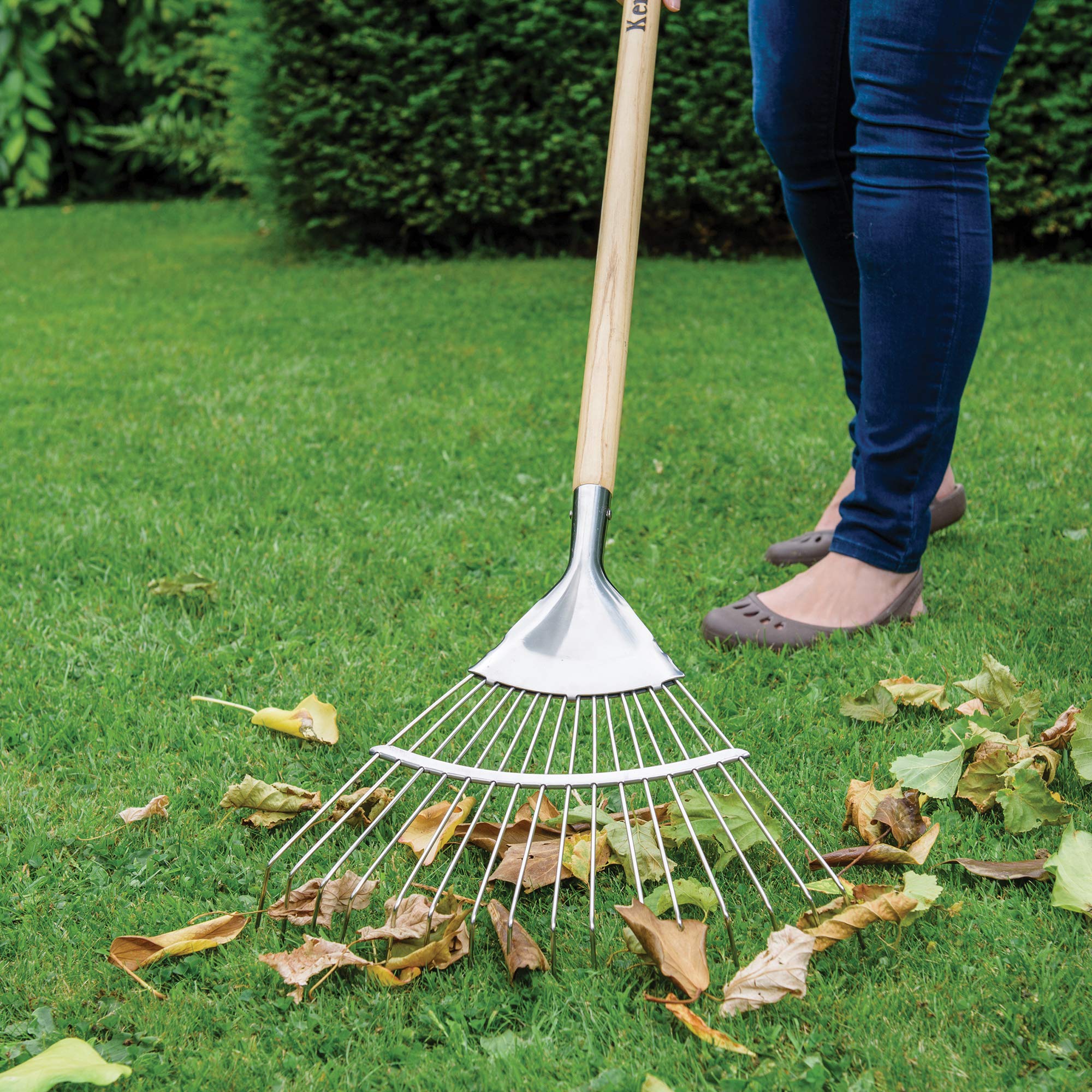Kent & Stowe Long Handle Leaf Rake - Premium Ash Wood & Stainless Steel Garden Tool (734091) - Perfect for Yard Cleanup, Lawn Maintenance, and Fall Leaf Collection
