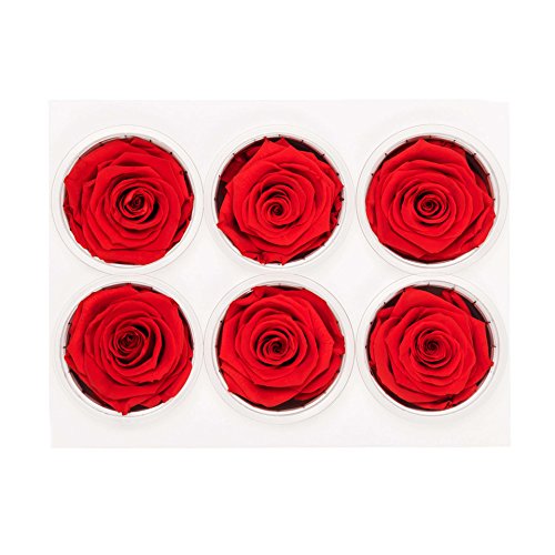 6 Pack Preserved Real Roses in Red - Eternal Fresh Roses for Home Decor, Wedding Centerpieces, Anniversary Gifts & Romantic Surprises