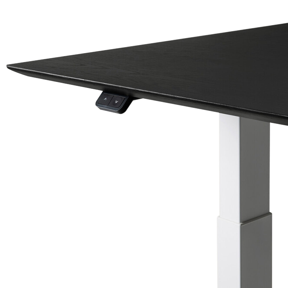 Adjustable Rectangle Office Desk with Cable Management - 160cm (Oak Black, White) | Ergonomic Home & Workspace Solution for Remote Work & Study