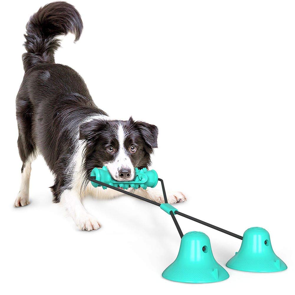 Durable Double Suction Cup Dog Chew Toy - Interactive Rope & Puzzle Toy for Small Dogs | Teething, Tug of War & Dental Care | Perfect for Indoor Play & Teeth Cleaning (Blue)