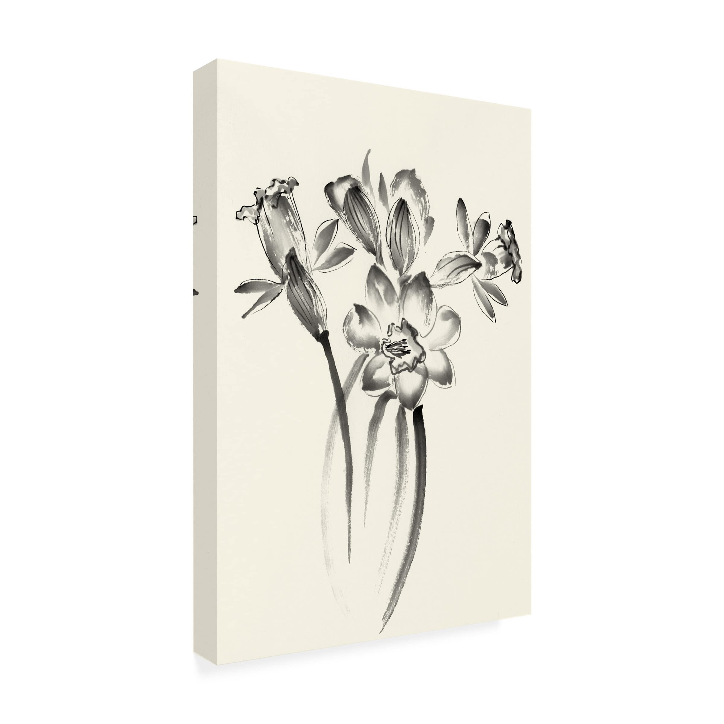 Trademark Fine Art 'Ink Wash Floral I Daffodils' Canvas Wall Art by Nan Rae - Elegant Floral Painting for Living Room, Bedroom & Office Decor