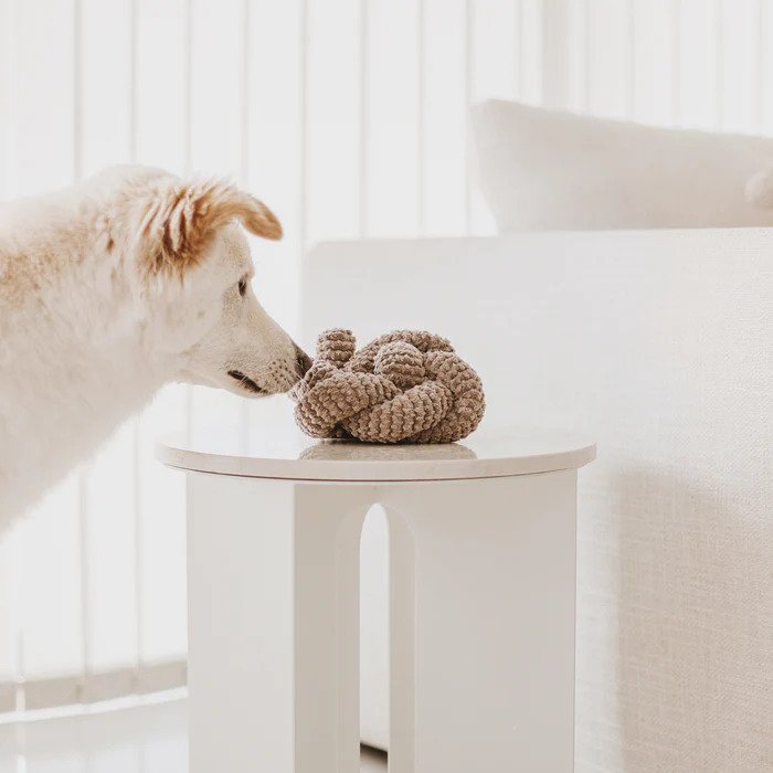 Durable Dog Chew Toy for Aggressive Chewers - Interactive Pet Training & Teeth Cleaning - Perfect for Large & Small Dogs - Indoor & Outdoor Play