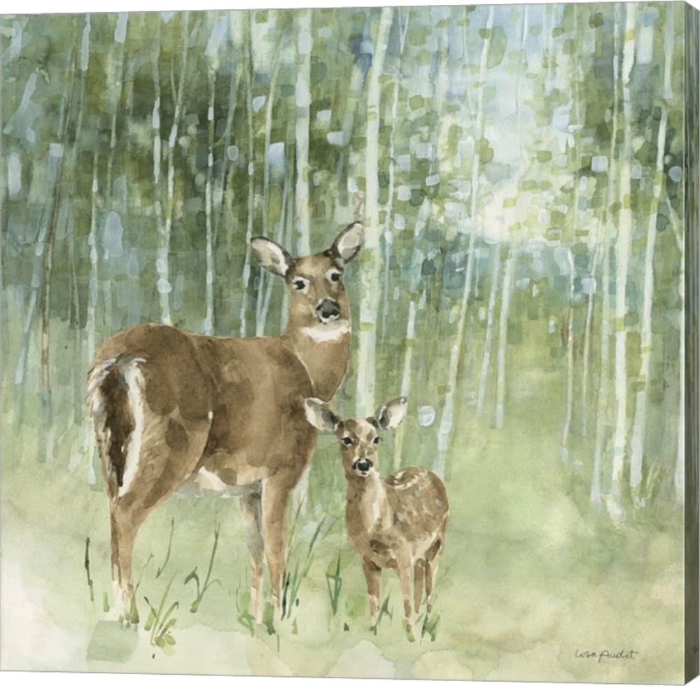 Nature's Call II by Lisa Audit - 12x12 Inch Canvas Wall Art, Gallery Wrapped Modern Home Decor - Perfect for Living Room, Bedroom & Office Decorations