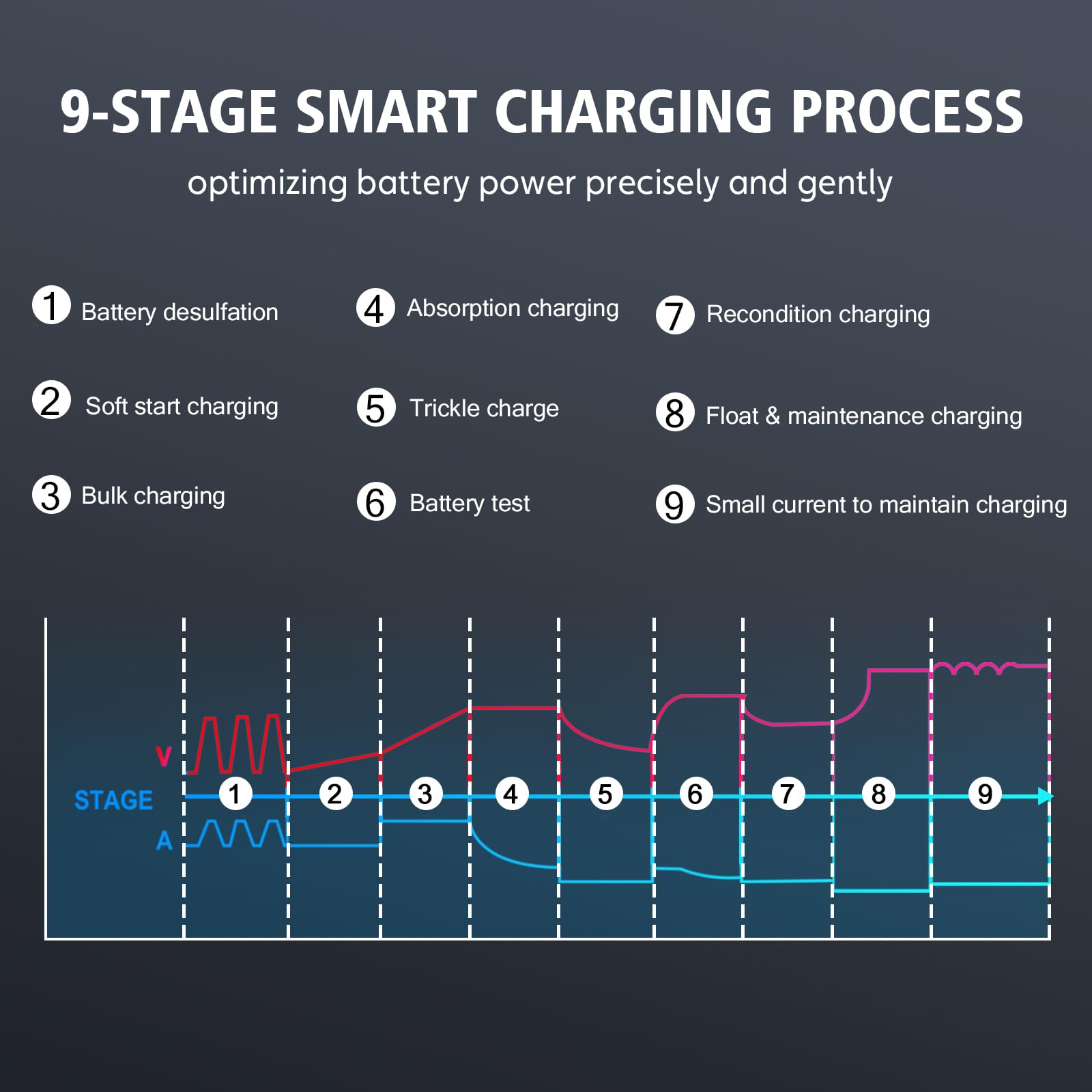 12V 24V 20A Lithium LiFePO4 & AGM Deep Cycle Battery Charger - Fully Automatic Smart Trickle Charger for Cars, RVs, Boats & Marine Vehicles - Perfect for Automotive, Solar Power & Off-Grid Applications