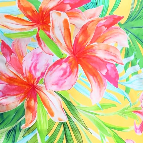 Multi//Calypso Bloom
