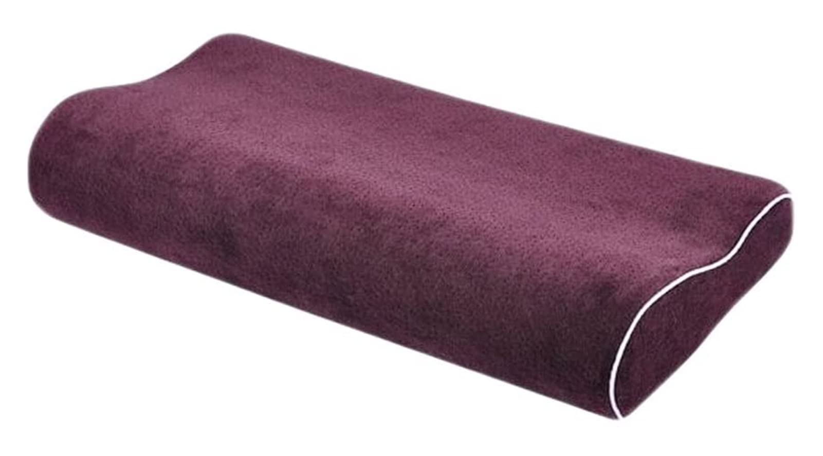 JESEBROD Slow Rebound Memory Foam Pillow - Orthopedic Cervical Support Pillow for Neck Pain Relief, Large Size - Perfect for Side, Back Sleepers & Travel Use