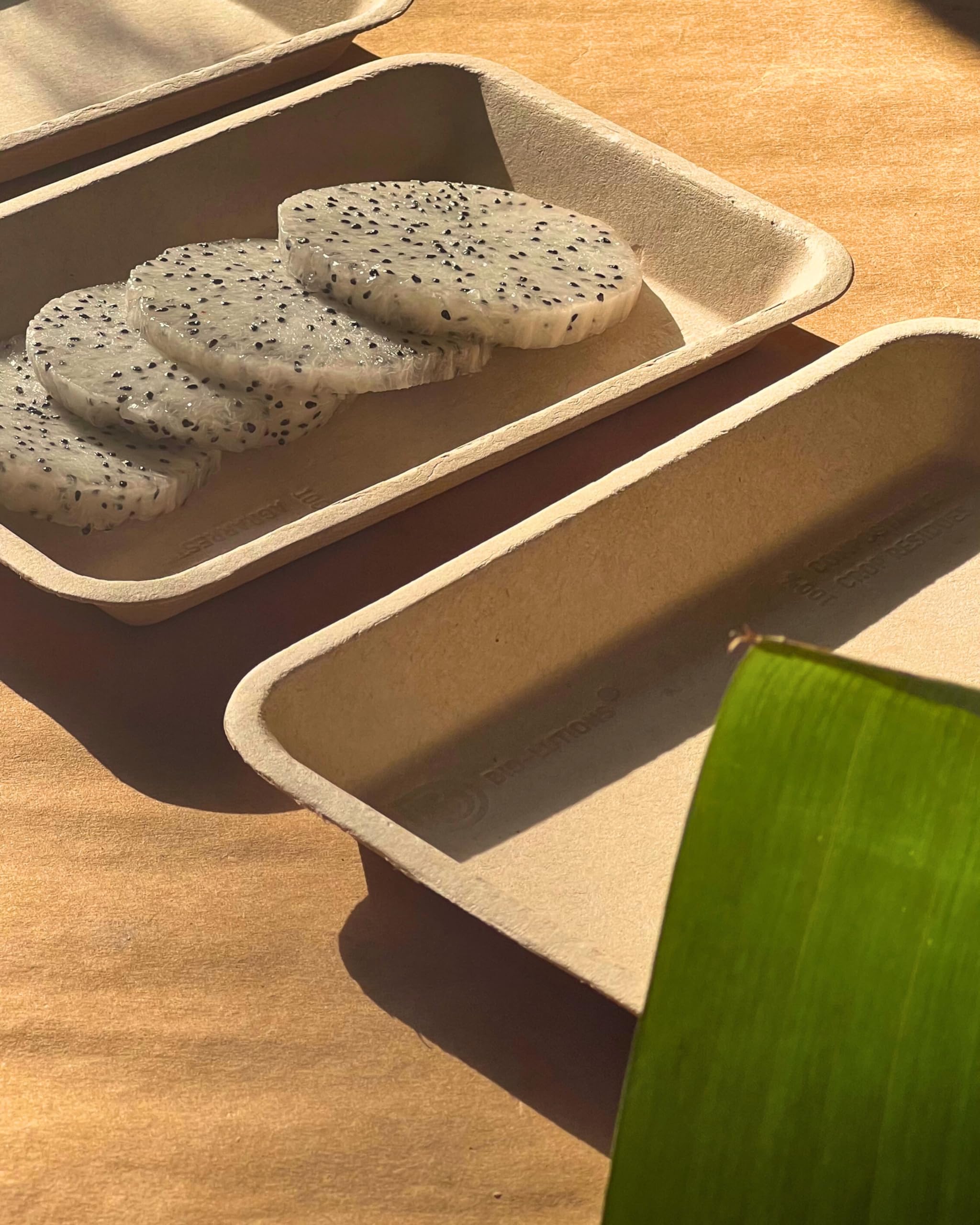 Eco-Friendly Disposable Plates (7 Inch, 50 Pack) - Biodegradable & Compostable Rectangular Dinner Plates Made from Natural Fibers | Perfect for Parties, Weddings, Picnics, BBQs & Everyday Use (Beige)