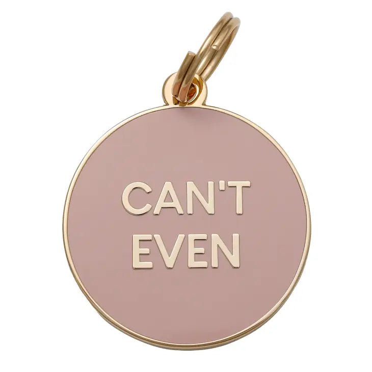 Custom Pet ID Tag - Personalized Engraved Dog & Cat Name Tags for Collars - Perfect for Lost Pet Recovery & Everyday Safety