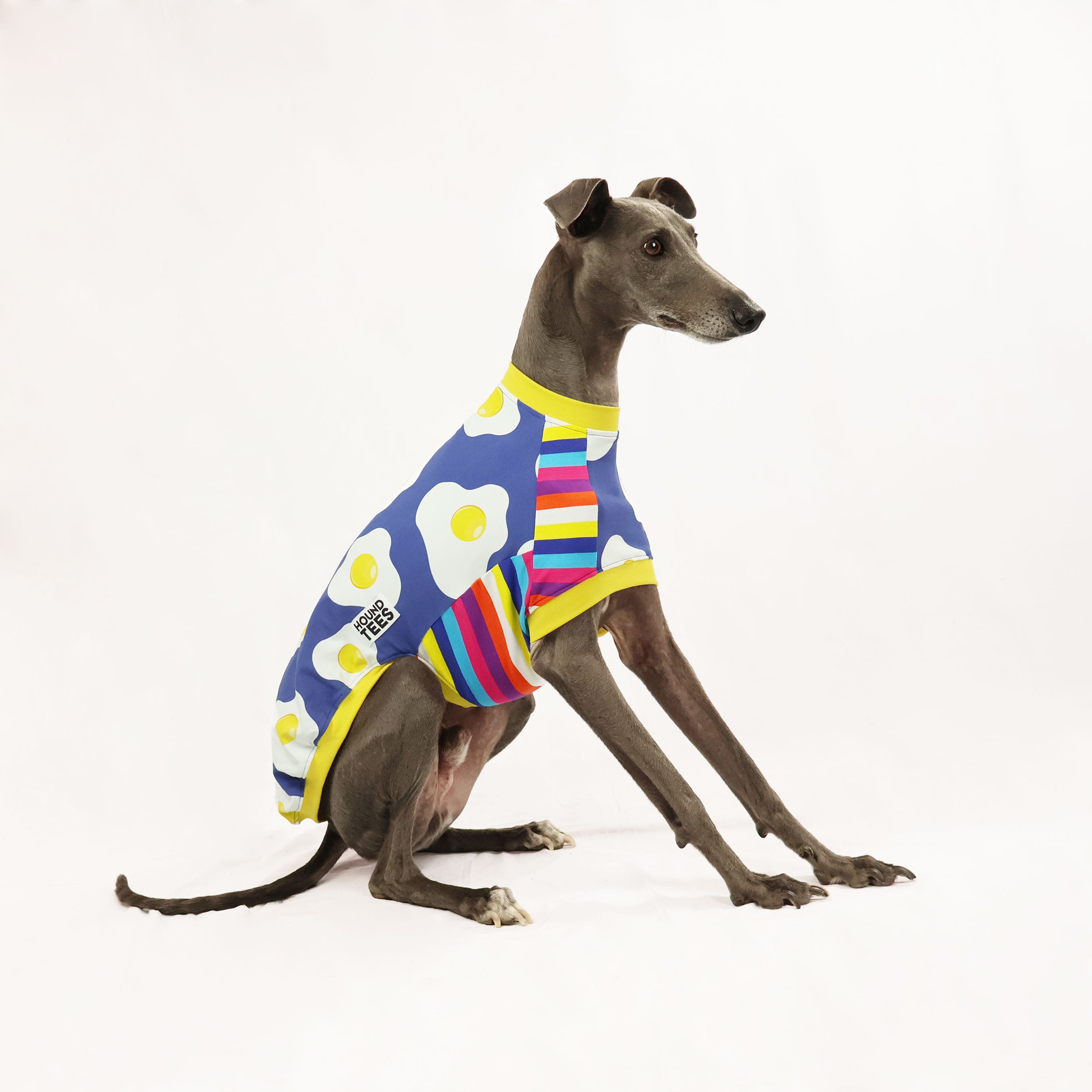 Eggy Whippet Sleeveless Hound T-Shirt - Funny Dog Lover Graphic Tee for Summer & Casual Wear