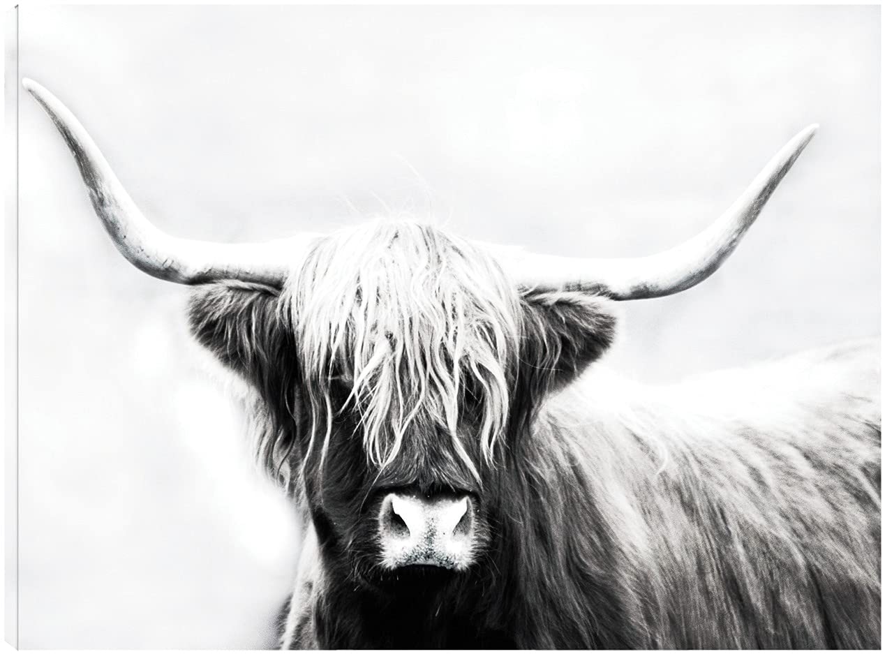 Highland Longhorn Fine Art Canvas Wall Decor by Danita Delimont - Ready to Hang 32x24 Inches - Western Home Decor for Living Room, Bedroom, Office & More - Perfect for Ranch Style, Cowboy Themed & Farmhouse Interior Design