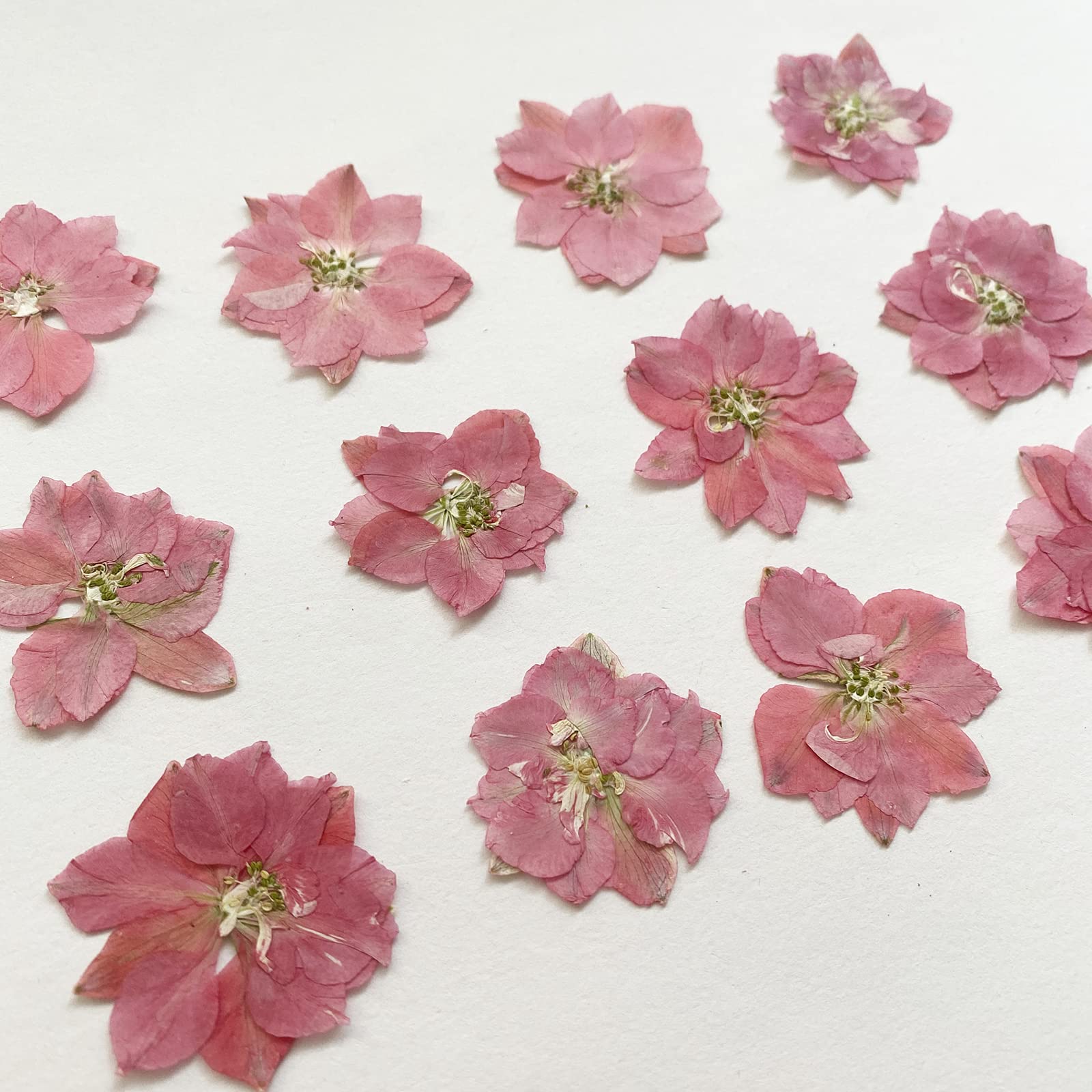 YUNZHI 12-Pack Natural Pink Delphinium Dried Pressed Flowers for DIY Crafts, Scrapbooking, Candle Making, Resin Jewelry & Home Decor - Perfect for Wedding Bouquets, Gift Wrapping & Boho Decorations