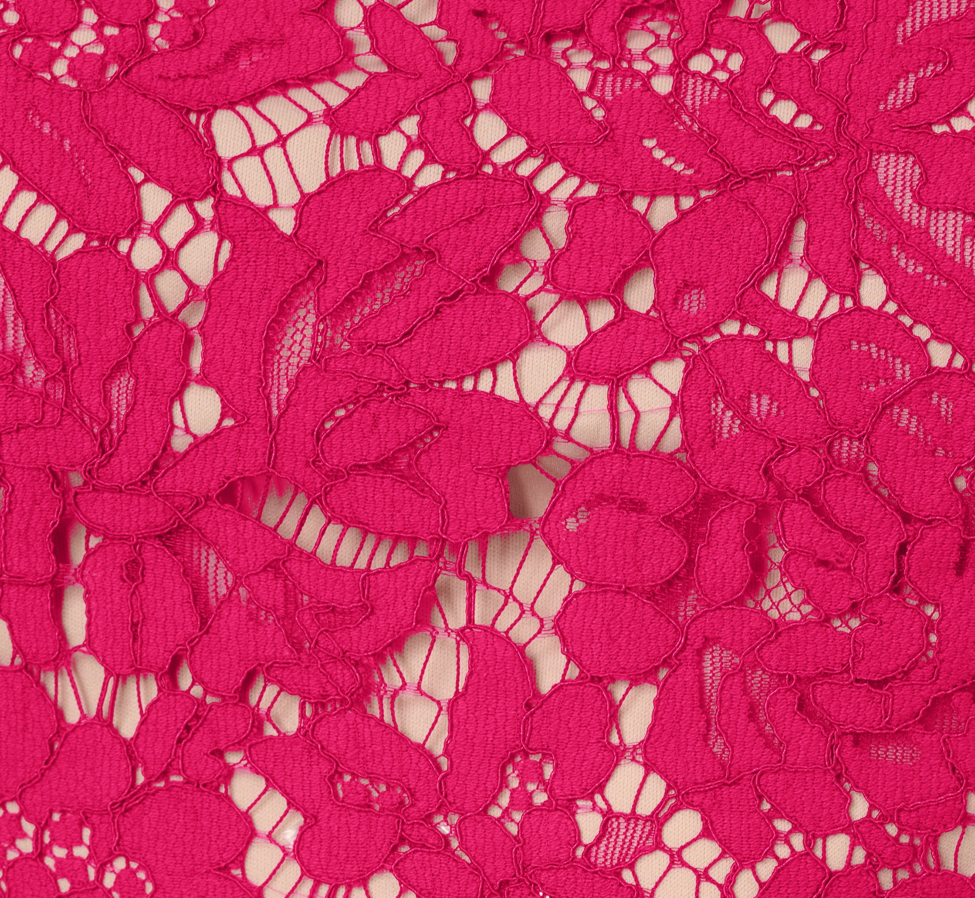 Elegant Sleeveless Lace Fit & Flare Dress - Sheer Detailing in Tropical Pink | Perfect for Summer Weddings, Beach Parties & Cocktail Events