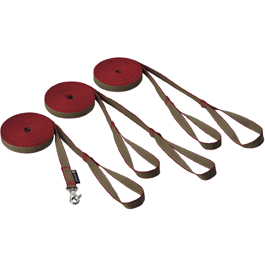 Adjustable Dog Leash Set - Durable & Comfortable Pet Walking Lead for Small Medium Large Dogs - Perfect for Training, Hiking, and Outdoor Adventures