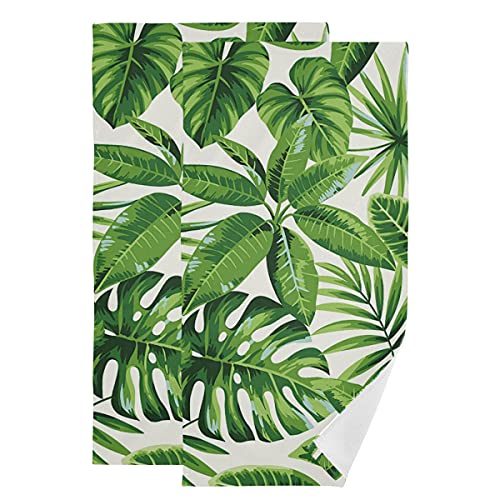 Palm Leaf