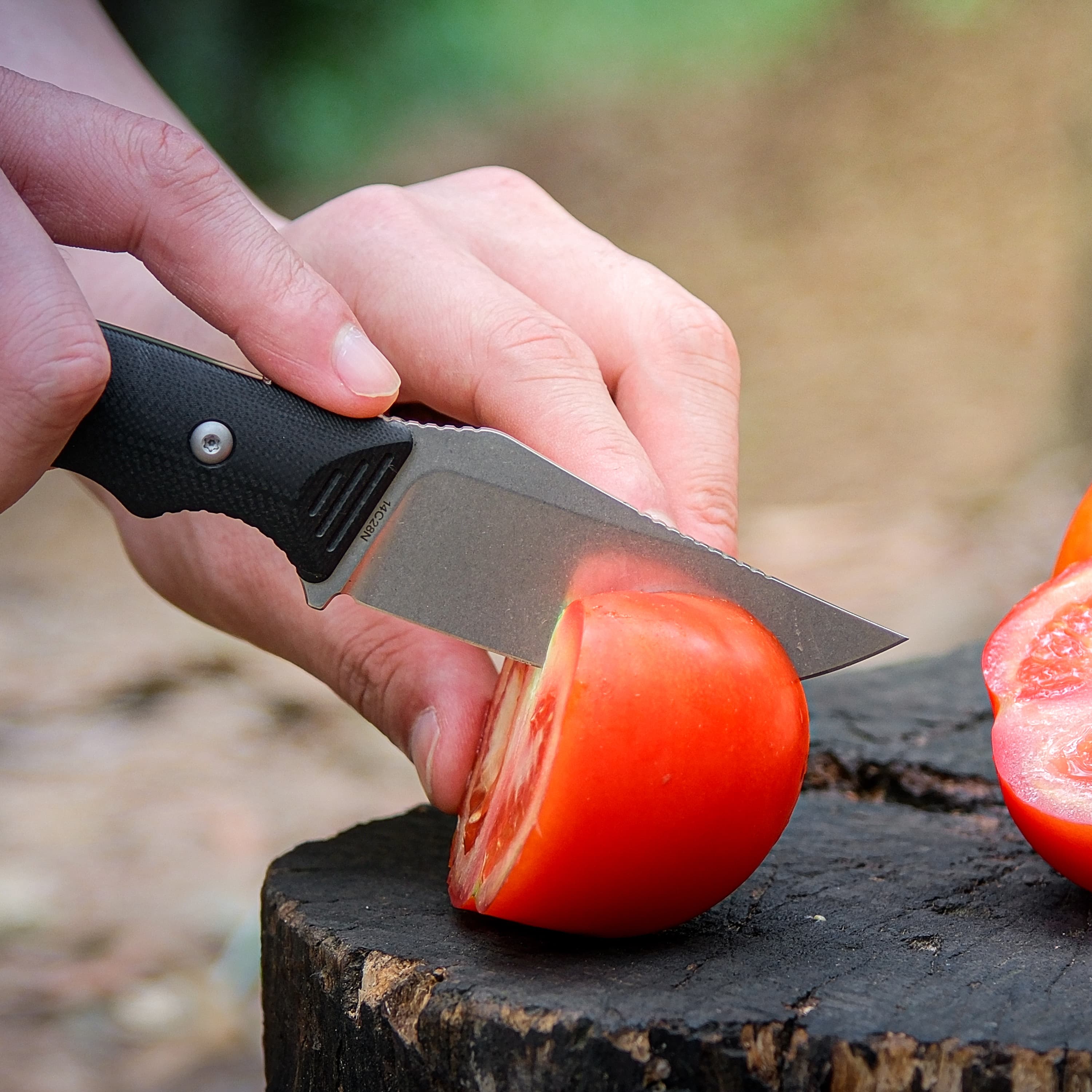 H Back Fixed Blade Knife - 2.92