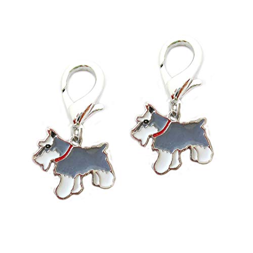 Gray-schnauzer