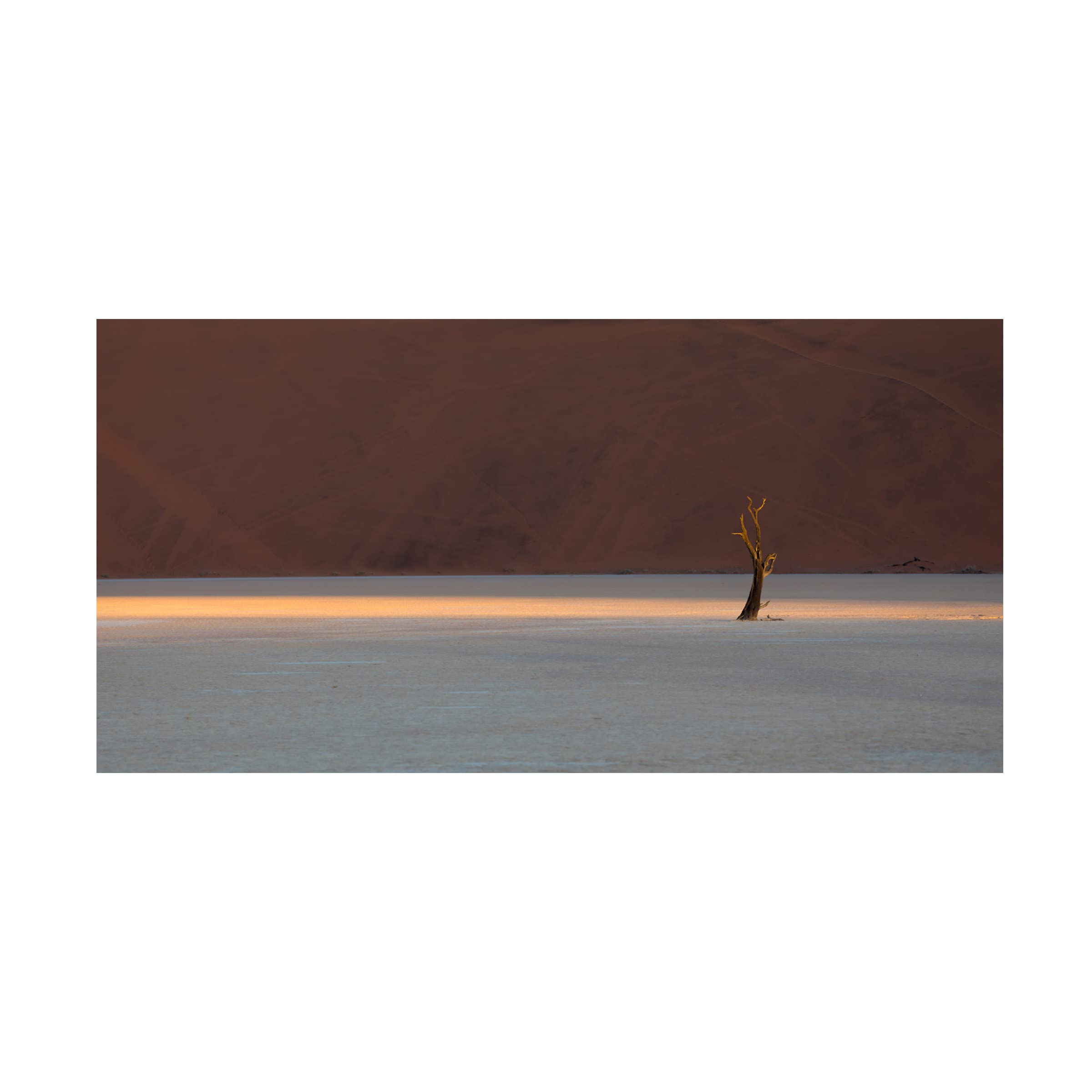 Trademark Fine Art 'Deadviel' Canvas Wall Art by Roberto Marchegiani - Hand-Painted Modern Abstract Painting for Living Room, Bedroom & Office Decor